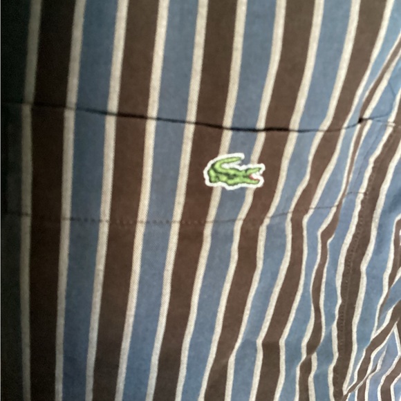 Lacoste brown & blue gray stripes - Picture 3 of 5